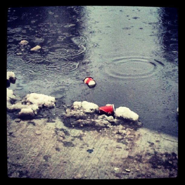 Tim_hortons_cup_trash